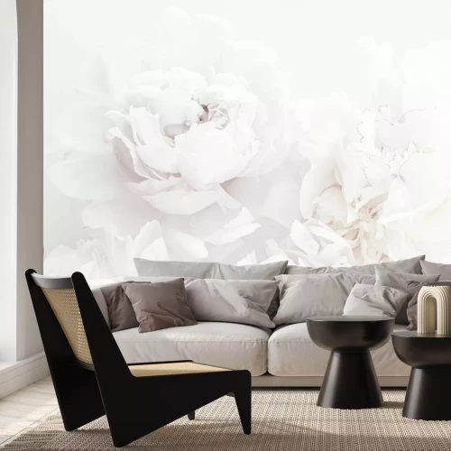 Fotobehang Witte pioenrozen