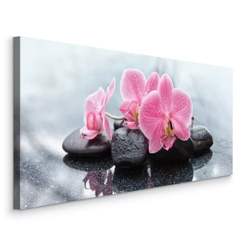 Canvas Roze orchideeënbloemen en zwarte stenen