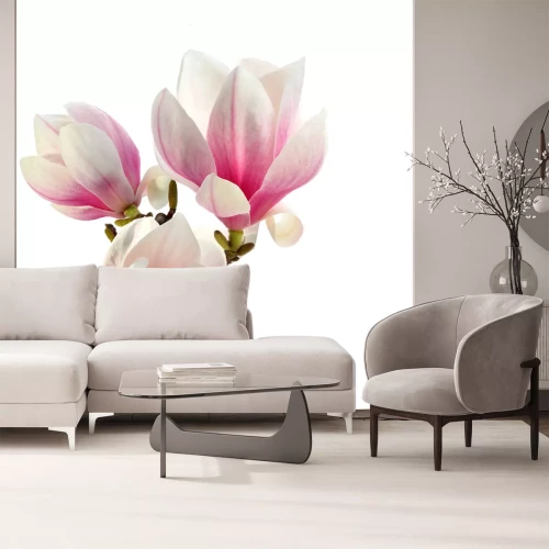 Fotobehang Mooie magnolia's op een witte achtergrond
