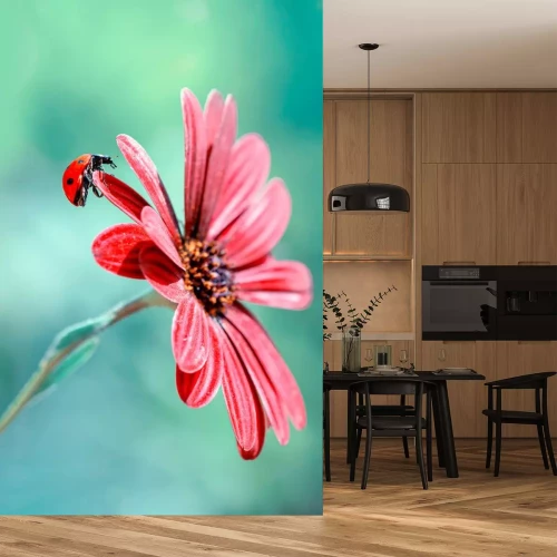 Sticker Close-up van een lieveheersbeestje op een rode bloem