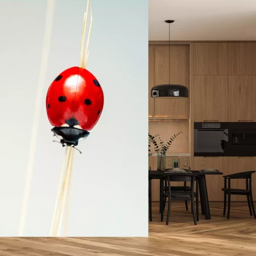 Sticker Rood insect op een droge grasspriet