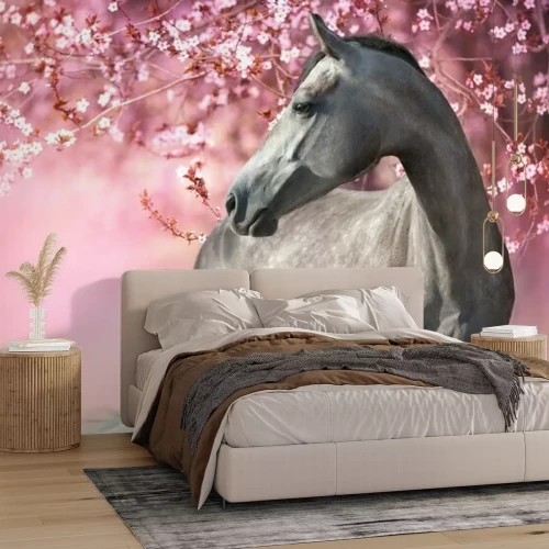 Fotobehang Een veulen bij een bloeiende kersenboom