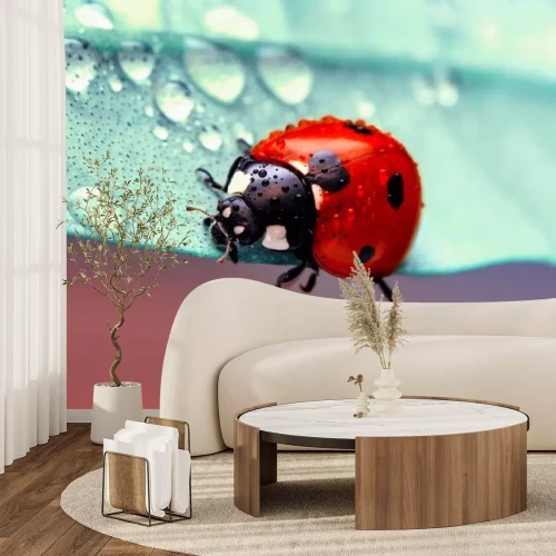 Sticker Macro-opname van een lieveheersbeestje op een blad met regendruppels