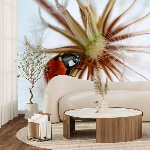 Sticker Mooi lieveheersbeestje zit op een paardenbloem