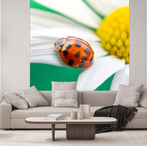 Sticker Rood lieveheersbeestje op een kamillebloem