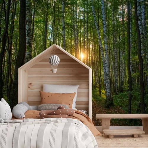 Fotobehang Zonsondergang boven het berkenbos