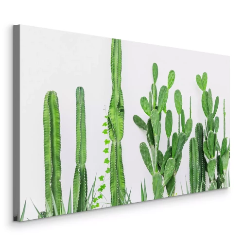 Canvas Cactussen groene planten op een effen achtergrond