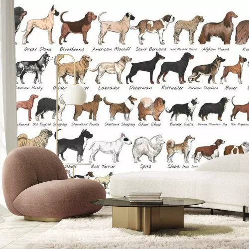 Fotobehang Verschillende hondenrassen