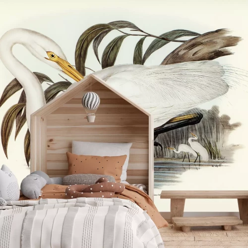 Fotobehang Ardea alba modesta