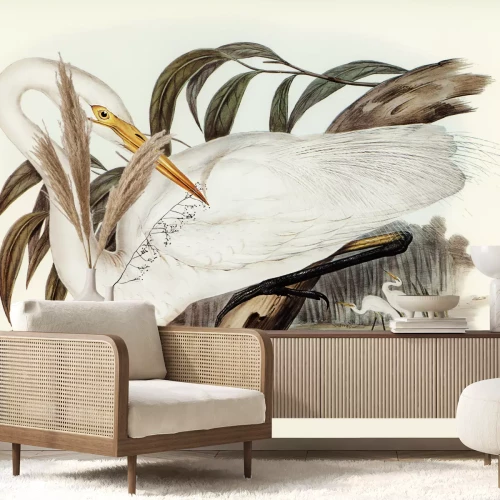 Fotobehang Ardea alba modesta