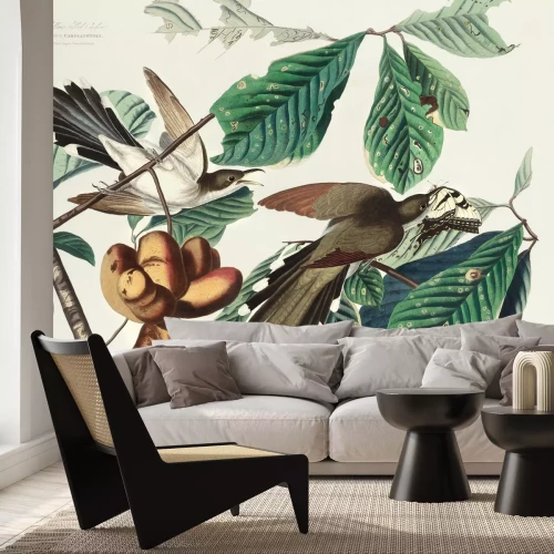 Fotobehang Coccyzus americanus