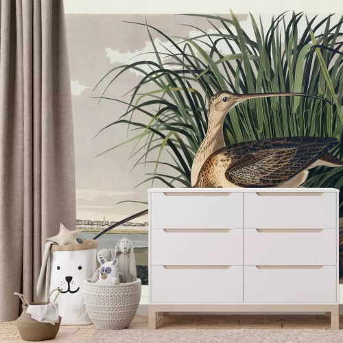 Fotobehang Numenius americanus