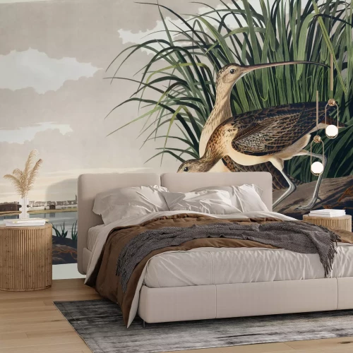 Fotobehang Numenius americanus