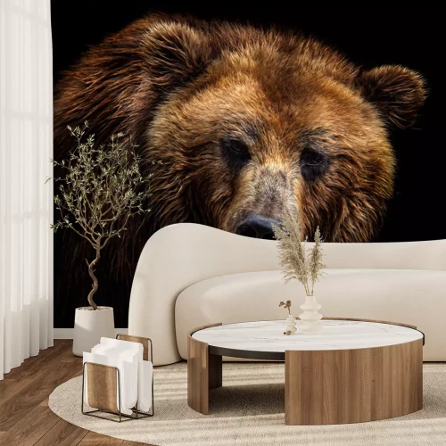 Fotobehang Portret van een beer op een zwarte achtergrond