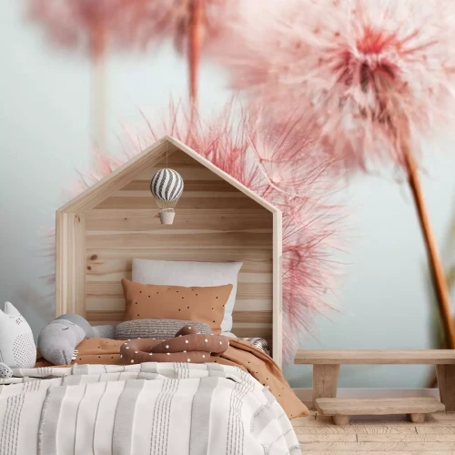 Fotobehang Roze paardebloemen close-up