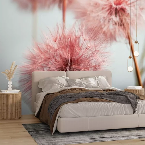 Fotobehang Roze paardebloemen close-up