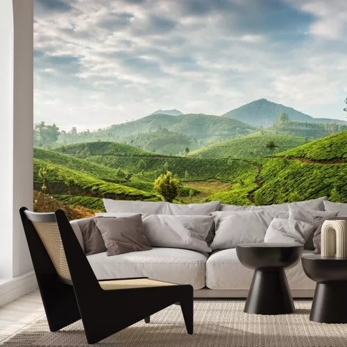 Fotobehang Panorama van de theeplantage