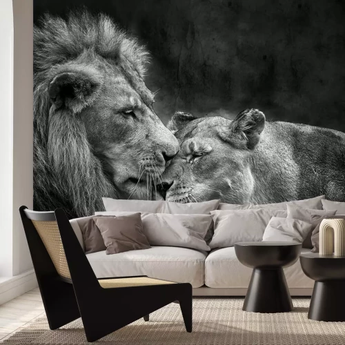 Fotobehang Monochroom portret van verliefde wilde katten