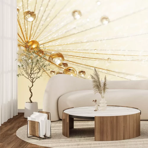 Fotobehang Regendruppels op een paardenbloem