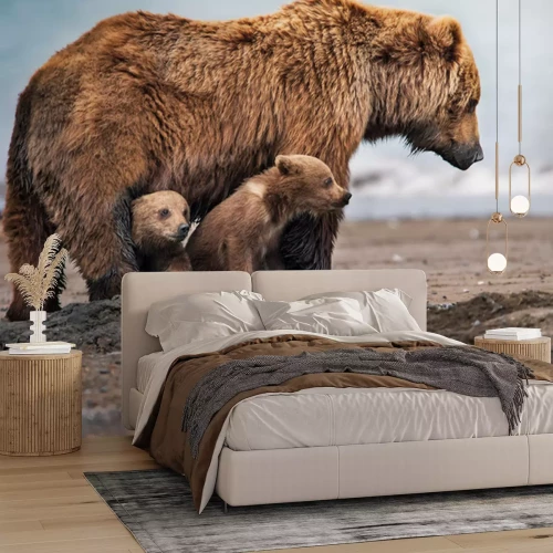 Fotobehang Een berenfamilie in hun natuurlijke habitat