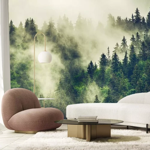 Fotobehang Ochtendmist boven hoge coniferen