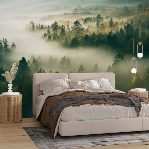 Fotobehang Bovenaanzicht van het bos in de ochtend