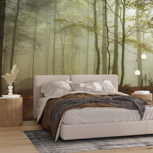 Fotobehang De frisheid van het bos in de ochtend