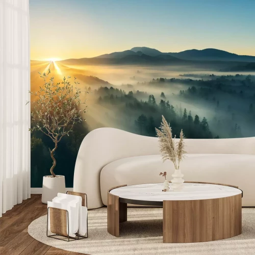 Fotobehang Zonsopgang boven een bos in het mistlandschap