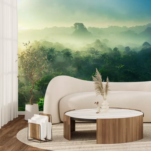 Fotobehang Uitzicht op de jungle, Afrikaans, tropisch, mist en ochtendlicht, zacht zonlicht