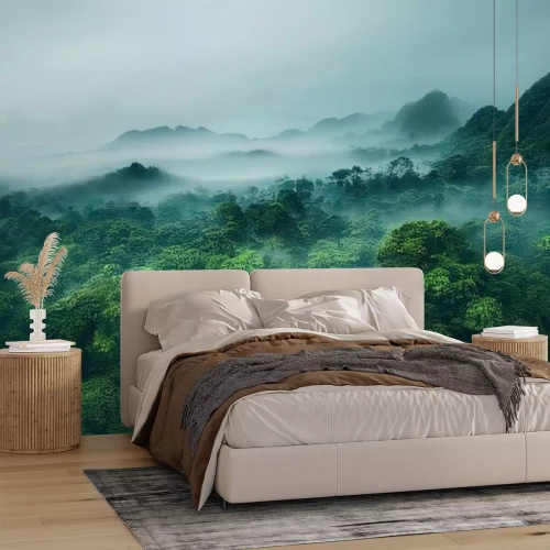 Fotobehang Mist boven de kronen van tropische bomen