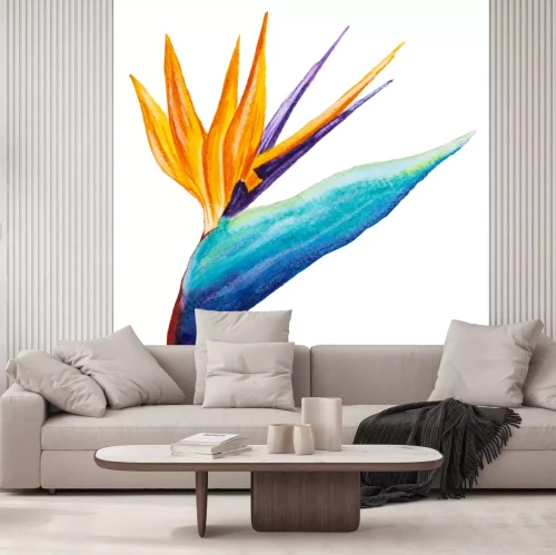 Sticker Aquarel Strelitzia-bloem op een witte achtergrond
