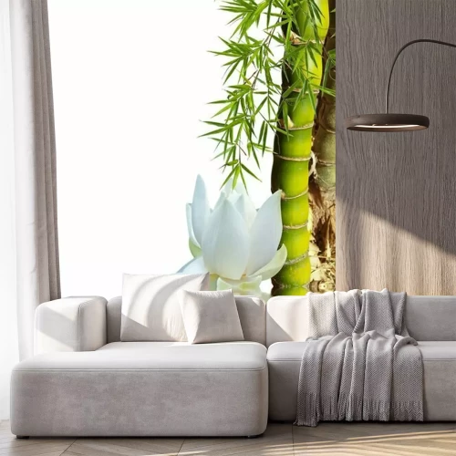 Fotobehang Bamboe en lotus op water