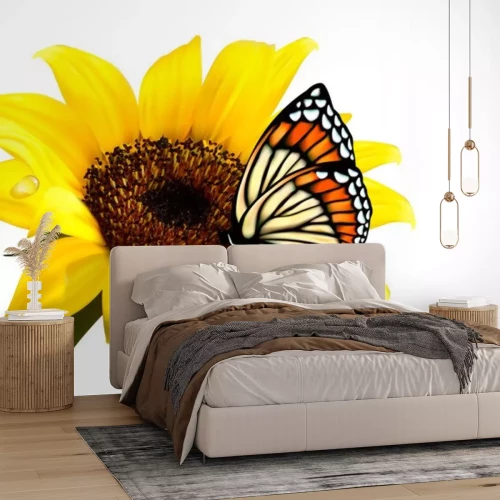 Sticker Vlinder aan een zonnebloem