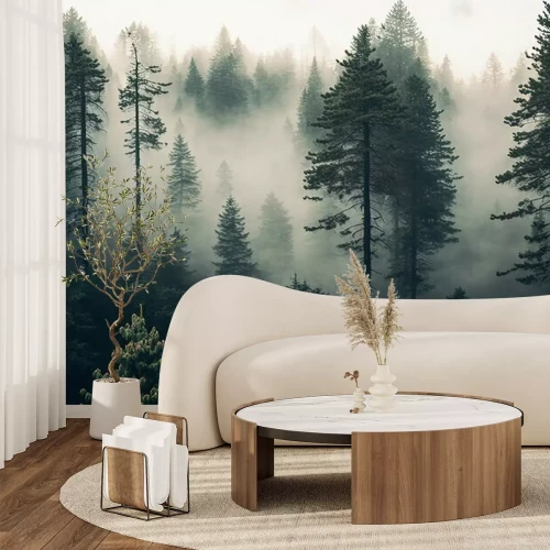 Fotobehang Hoge bomen in een naaldbos