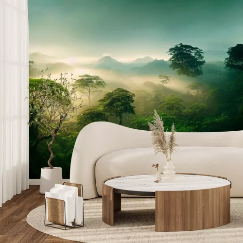 Fotobehang Groen regenwoud in de ochtend