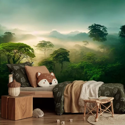 Fotobehang Groen regenwoud in de ochtend