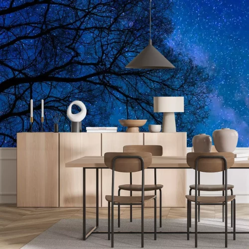 Fotobehang De sterrenhemel en de kroon van een bladverliezende boom