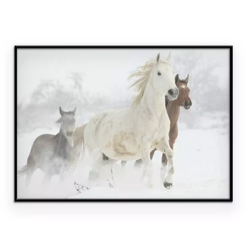 Poster Een kudde paarden die in de winter galoppeert.