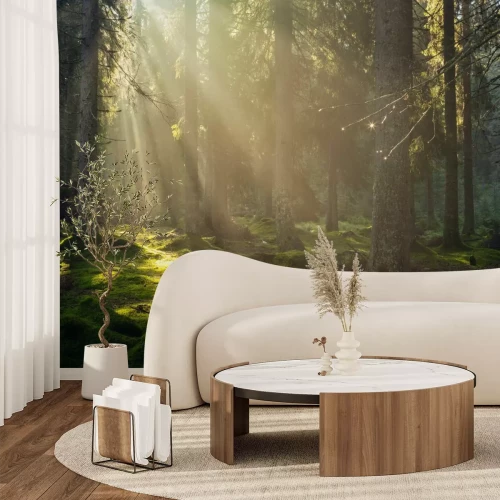 Fotobehang Bos met mos in de mist