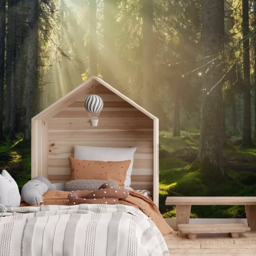 Fotobehang Bos met mos in de mist