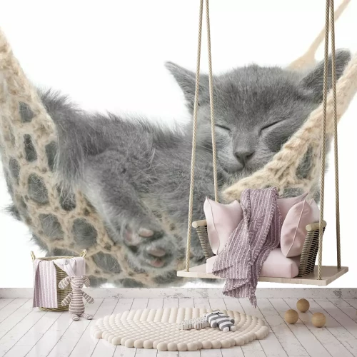 Sticker Een kat die in een hangmat slaapt