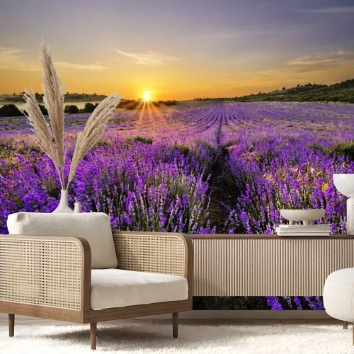 Fotobehang Lavendel veld met een landschap in de verte