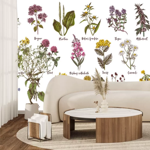 Fotobehang Kruiden en wilde planten met namen