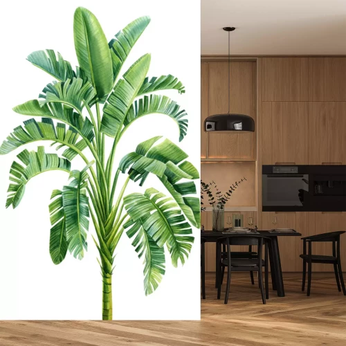 Sticker Aquarel bananenboom op een witte achtergrond