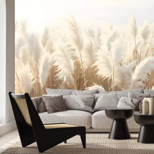 Fotobehang Abstract natural background of soft plants. Cortaderia. Fashionable pampas grass in neutral pastel colors. Dry reeds boho style. Aesthetic nature landscape