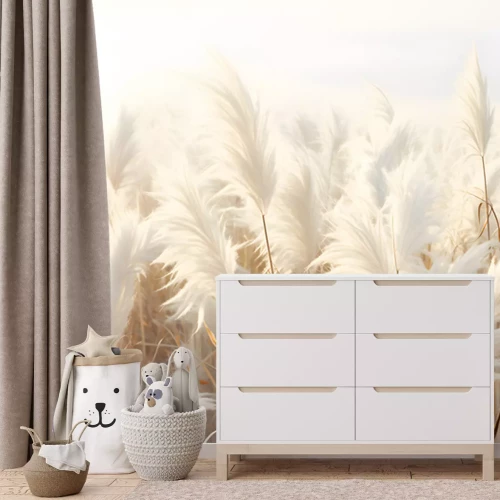 Fotobehang Abstract natural background of soft plants. Cortaderia. Fashionable pampas grass in neutral pastel colors. Dry reeds boho style. Aesthetic nature landscape