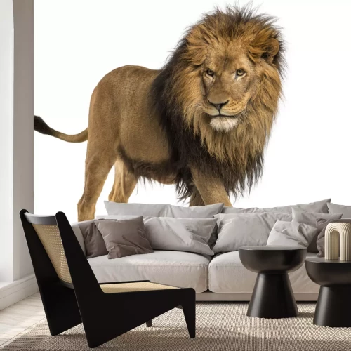 Sticker Lions silhouet van een leeuw in beweging