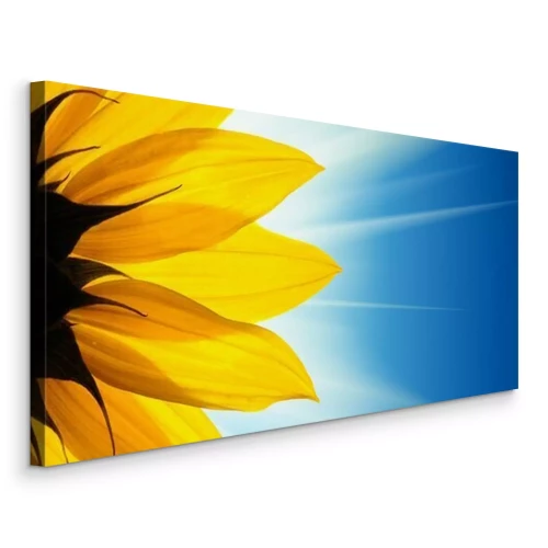 Canvas Zonnebloembloemzon op blauwe luchtachtergrond