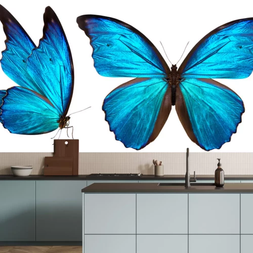 Sticker Silhouet van een blauwe vlinder