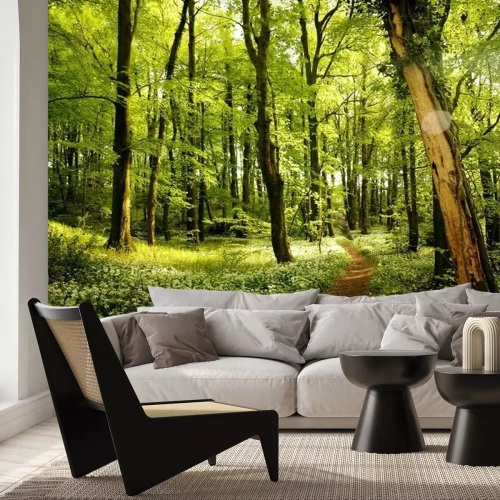 Fotobehang Pad in het bos